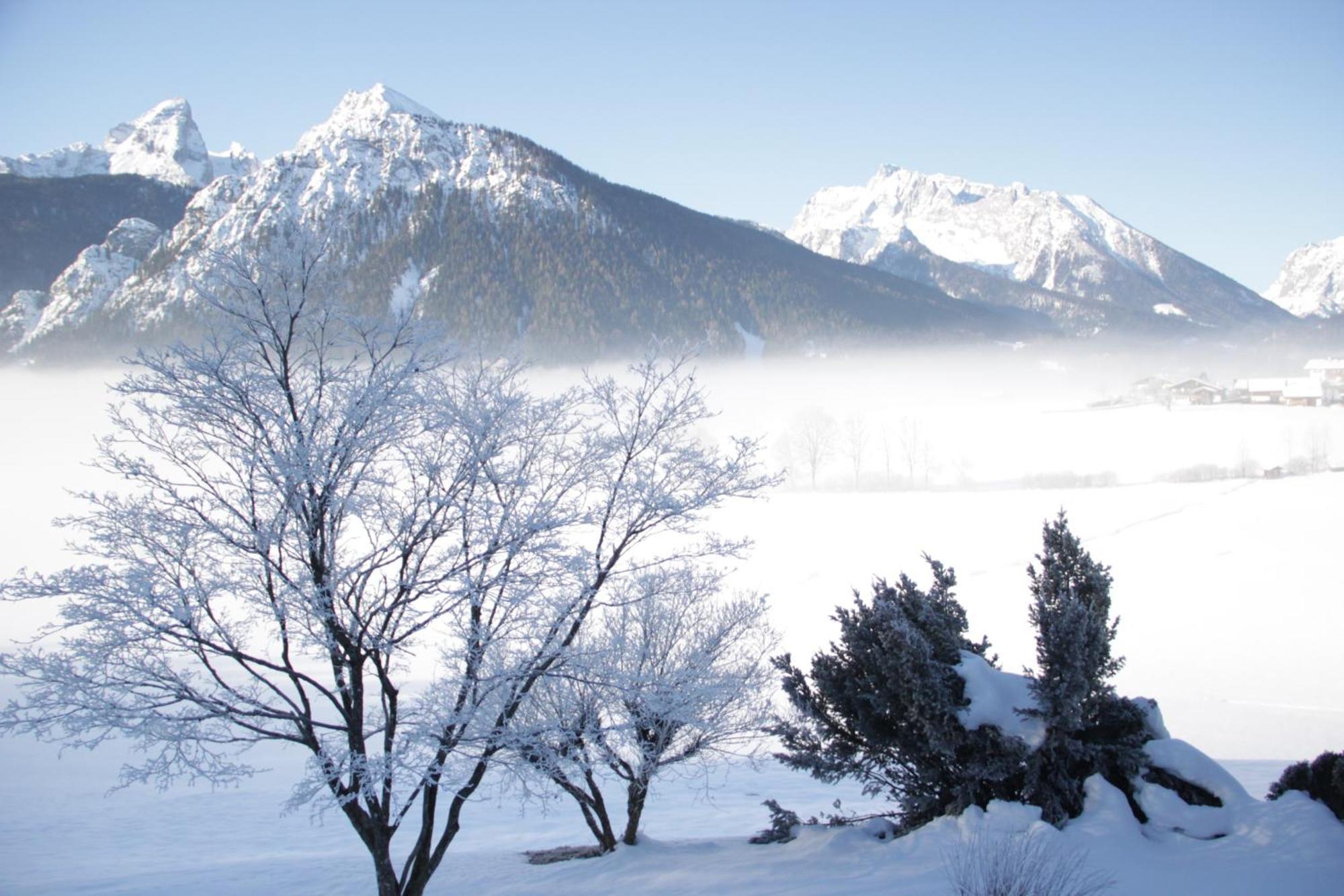 Obergoebllehen Apartment Schönau am Königssee Екстериор снимка